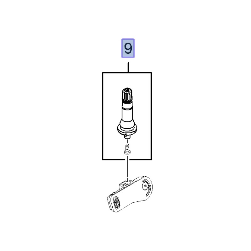 Zawór czujnika ciśnienia w oponie 95516992 (Movano B, Vivaro B)