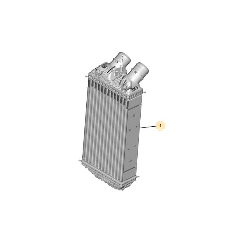 Chłodnica pośrednia Intercooler 9824742280 (Corsa F)