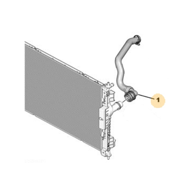 Wąż, przewód chłodnicy 9812441880 (Astra L)
