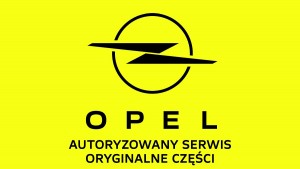 Oryginalne części Opel